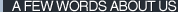 About Zanalyzer, Inc.